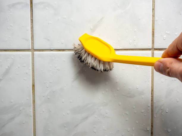 Best Mold Testing  in Centerville, CA
