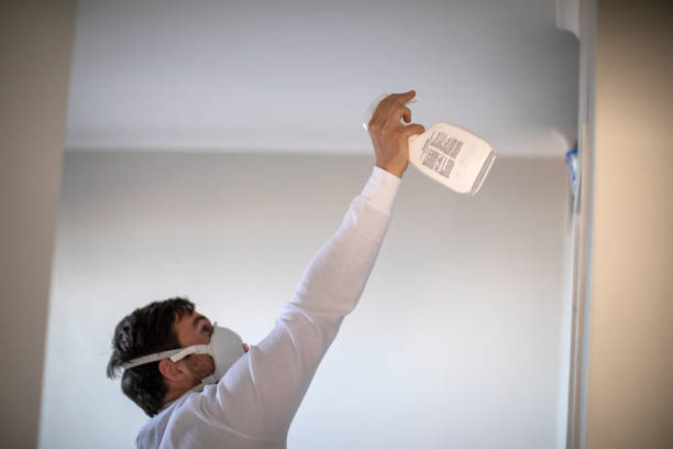 Mold Testing and Removal in Centerville, CA