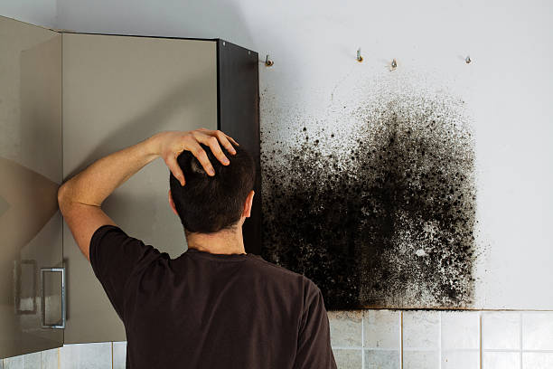 Water Damage Restoration in Centerville, CA